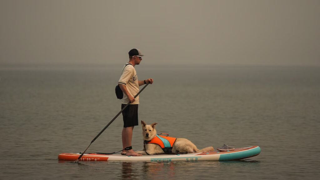 Last week’s British Columbia wildfire harmed 150 structures, forced evacuations
